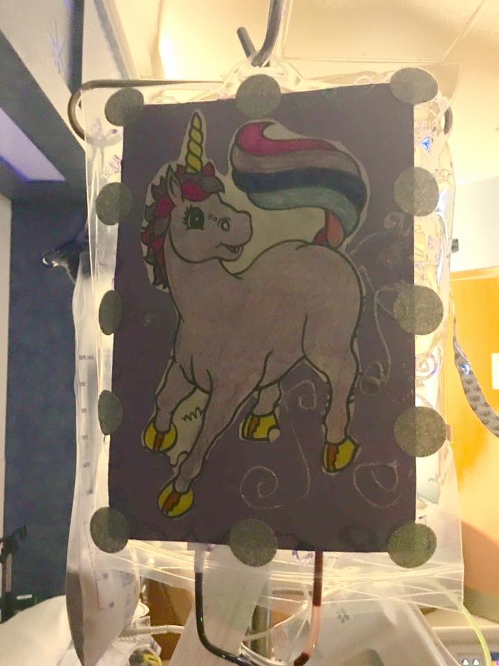 unicorn